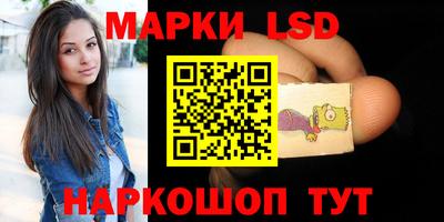 индика Обнинск