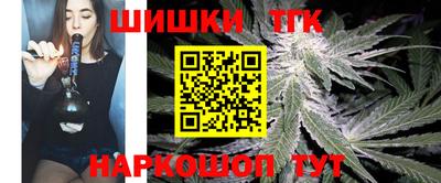 индика Обнинск