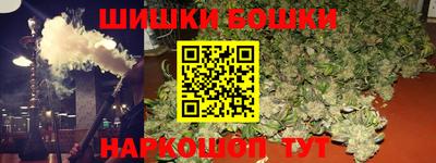 индика Обнинск