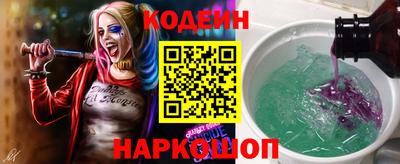 индика Обнинск