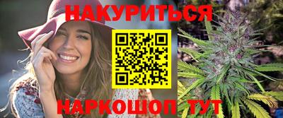 индика Обнинск